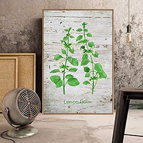 Floating Framed Canvas Wall Art for Living Room, Bedroom Plant Canvas Prints for Home Decoration Ready to Hang - 16x24 inches