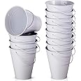 Sadnyy 12 Pack Metal Buckets with Handle, Galvanized Bucket 4.5 x 5 Inch Basket Bucket Party Supplies, Crafts for Christmas Halloween Christmas Candy Bars Vase Crafts(White)