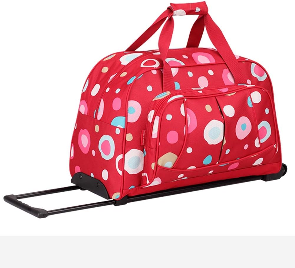 trolley bag for flight