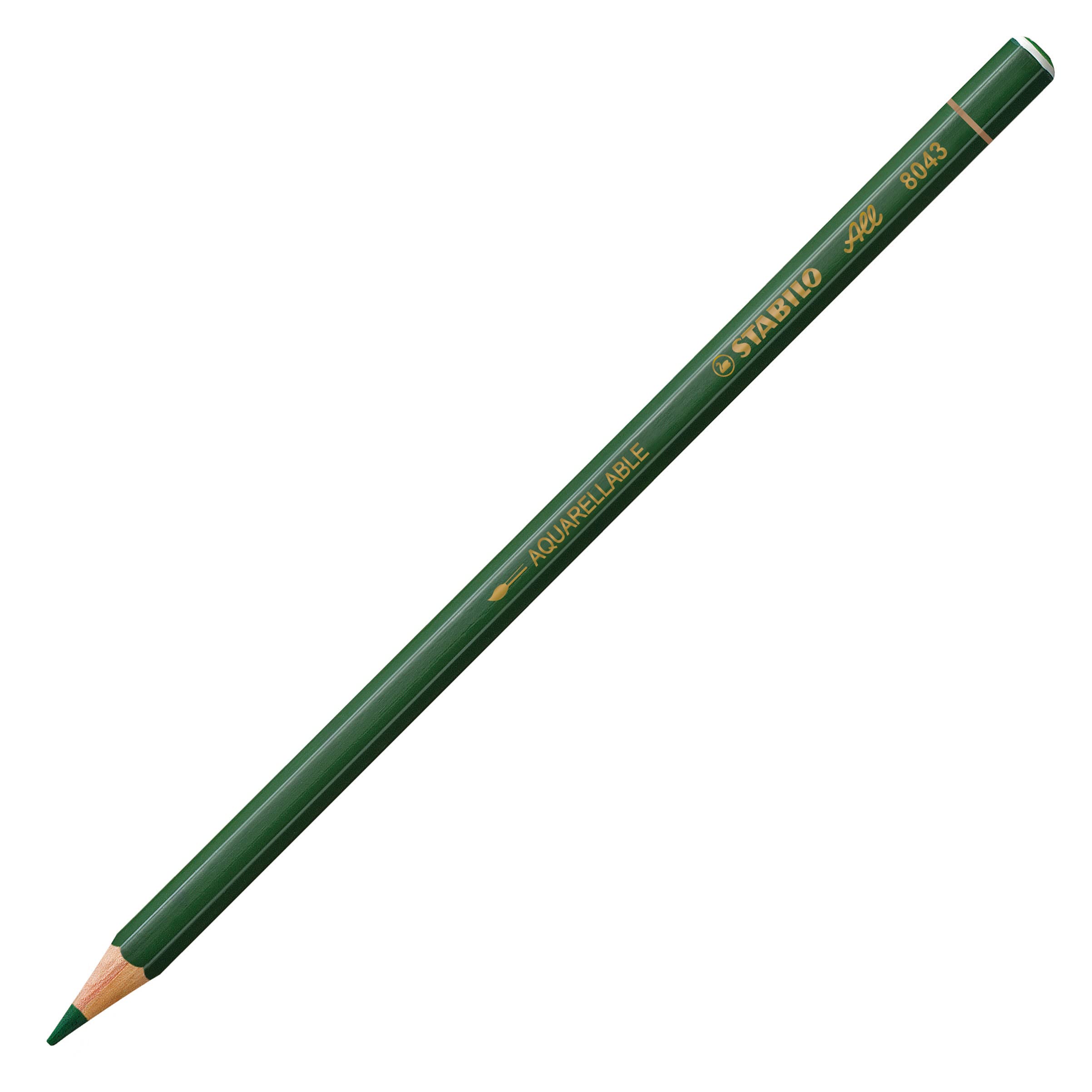 STABILO All - Coloured Pencil for Almost All Surfaces - Pack of 1 - Green