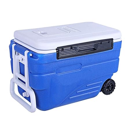 Wyyggnb Enfriador, Mini refrigerador portátil de 37L con ...