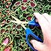 Happy Hydro Trimming Scissors - Straight Tip - 40mm Titanium Blades - Ergonomic Comfort Grip Handles - 1 Pack
