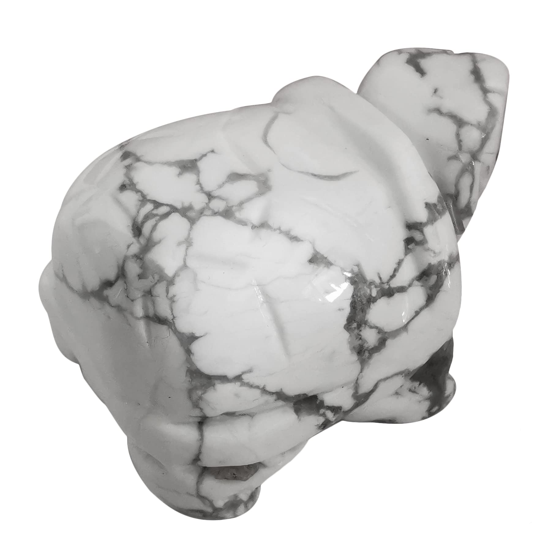 Lovionus89 Hand Carved Stone Crystal Turtle, 40mm Small Turtle Animal Figure Bag Statue Sculpture, White Howlite Turquoise