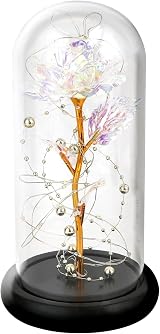 GARELF Eternal Rose Flower in Glass Dome - Romantic Gift for Her view 5