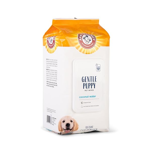 ARM & HAMMER DOG GROOMING WIPES, DEODORIZING DOG CLEANING WIPES WITH COCONUT WATER, GENTLE FOR DOGS AND PUPPIES, PARABEN AND SULFATE FREE FORMULA, LIGHT COCONUT SCENT, 100 COUNT – 3 PACK