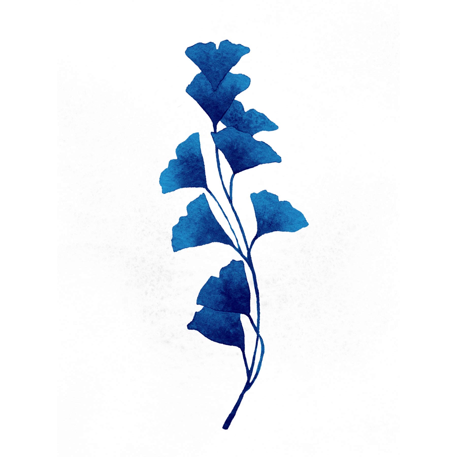 Wee Blue Coo Navy Blue Watercolour Flowers Premium Wall Art Canvas Print 18X24 Inch