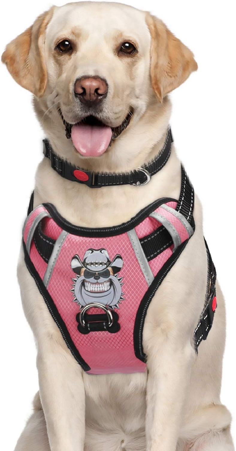 babyltrl dog harness