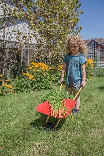 Little Workers Wheelbarrow by PlaSmart - Ride On Toy, Age 3 yrs and up, Construction toys that get jobs done in the sandbox, beach, dirt or snow