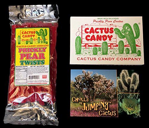 Cactus Candy Company Prickly Pear Licorice Twists & Arizona Prickly Pear Cactus Candy Bundle with Bonus Postcard