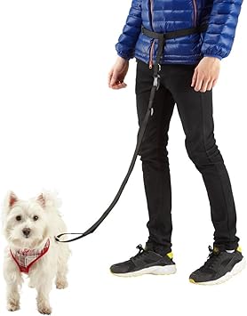 waist lead for dog
