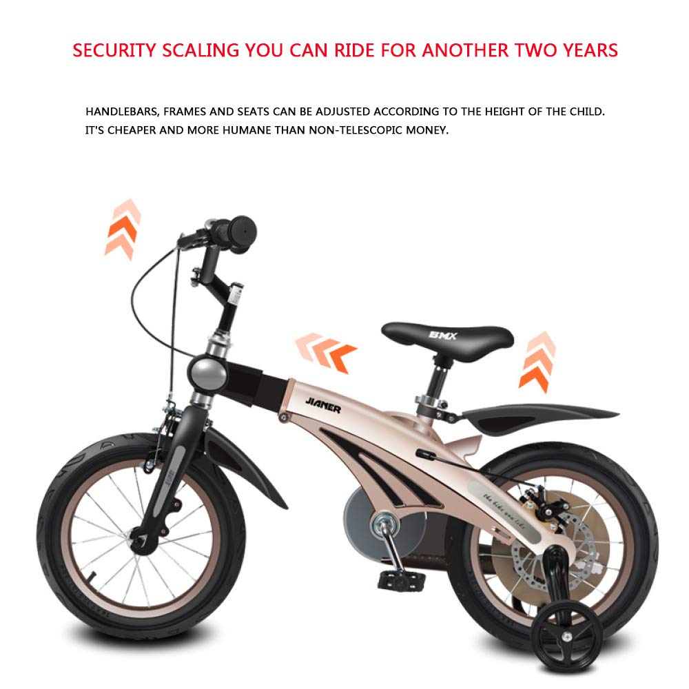 Biciclette e tricicli LEBEE Bici Bambini Bicicletta da 12 Pollici 14  Pollici 16 Pollici Bambino Bicicletta Bicicletta Mountain Bike,A-12inches  urban-earth.co.uk