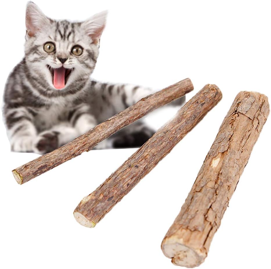 catnip lollipop with matatabi stick