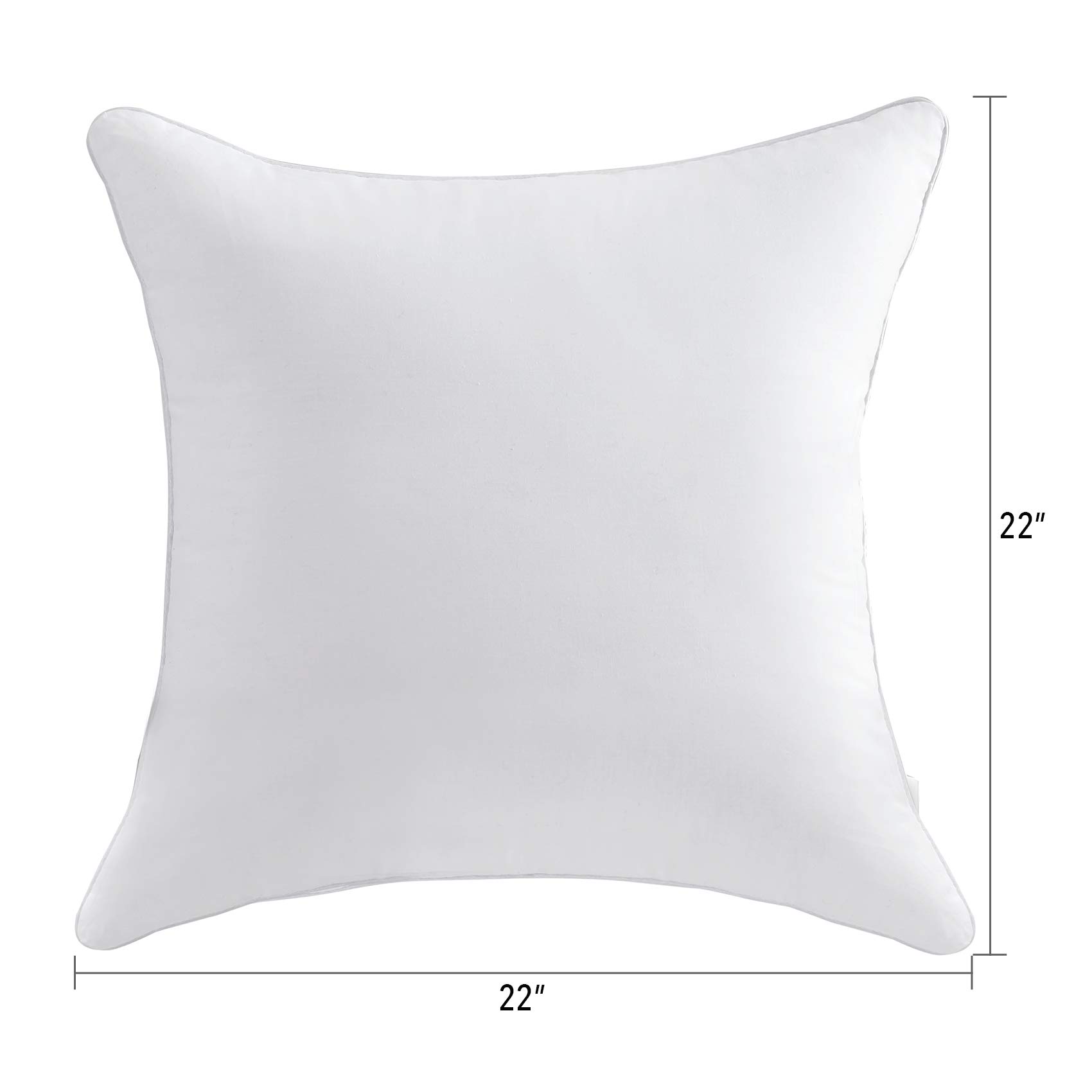 MoMA 22 x 22 Pillow Inserts (Set of 2) Throw Pillow Inserts with 100