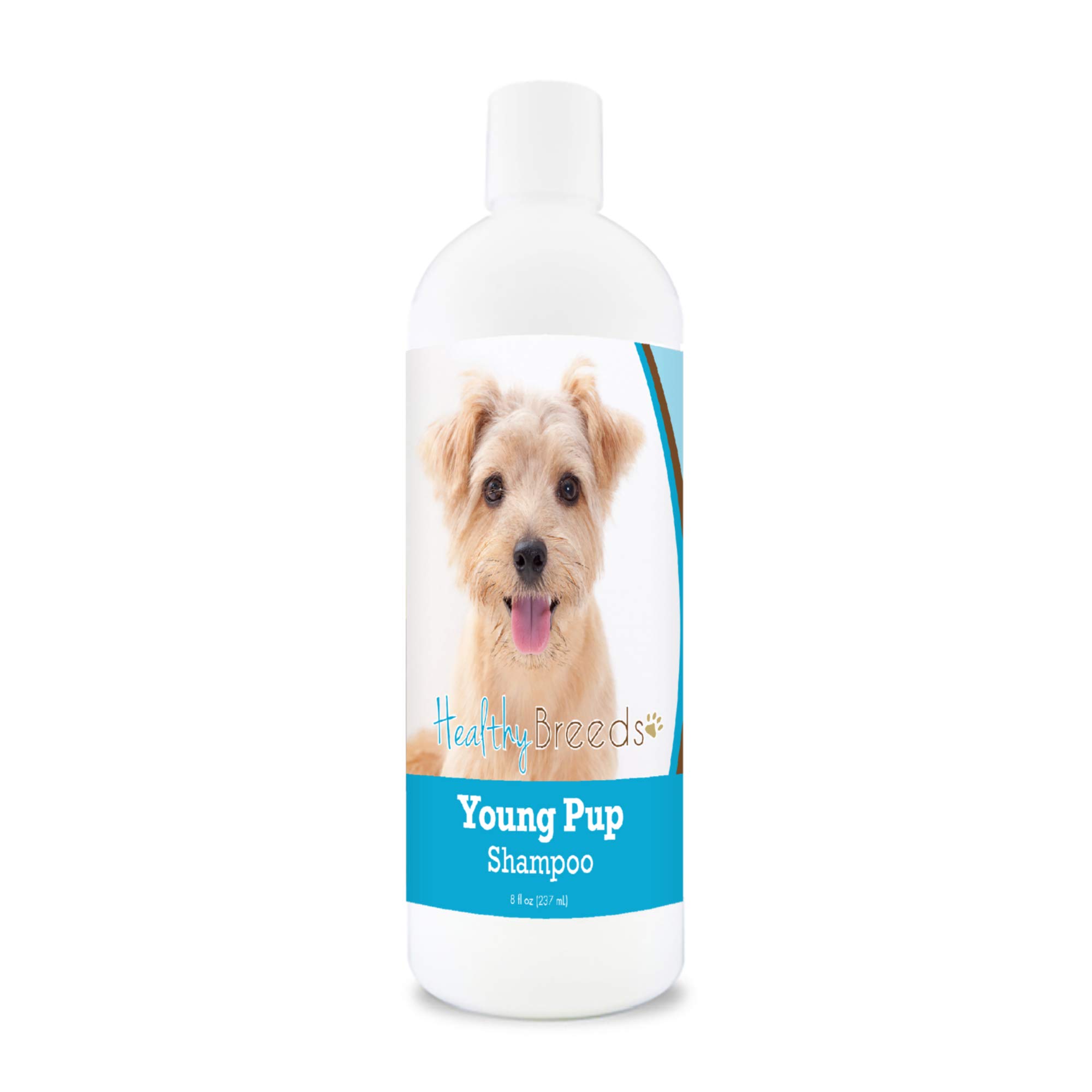 Healthy Breeds Norfolk Terrier Young Pup Shampoo 8 oz