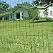 YARDGARD Welded Wire 2X3 Inch Mesh 48 Inch X 50 Foot 16 Gauge Green Vinyl Coated Steel Wire Fence Ideal for Animal Enclosures, Property Protection, Garden Fence, Rabbit Fence, and Utility Fence