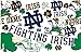 Tervis Notre Dame Fighting Irish All Over Tumbler with Wrap and Navy Lid 16oz, Clear