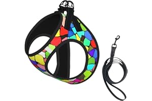 Fuzquwu Colorful Tie Dye Stained Glass Pattern Dog Harness with Leash Set, No Pull Adjustable Reflective Step-in Puppy Pet Ve