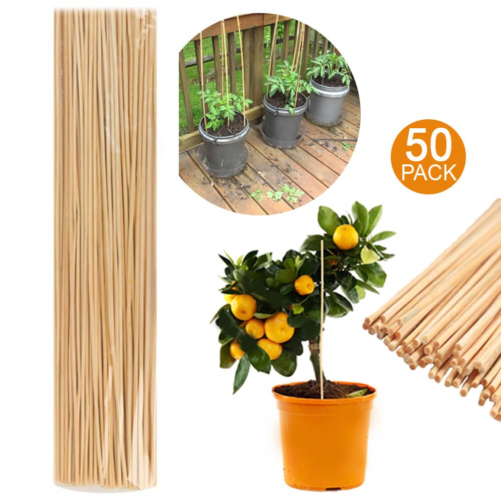 pix Bamboo Sticks For Plant Support garden plant grow wooden support
