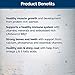 Blue Buffalo Wilderness High Protein, Natural Adult Dry Dog Food, Salmon 11-lb
