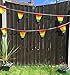 Gay Pride Flag Rainbow Colored String Pennant Flags LGBT Banner 33ft Party Decoration (M1006)
