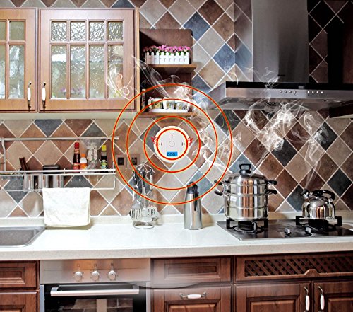 image for instecho Carbon Monoxide Gas Detection,CO Detector Alarm LCD Portable 