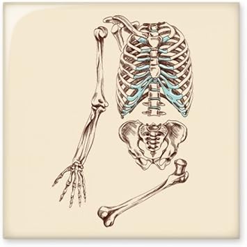 DIYthinker Esqueleto Humano bosquejar Brillante baldosa cerámica de