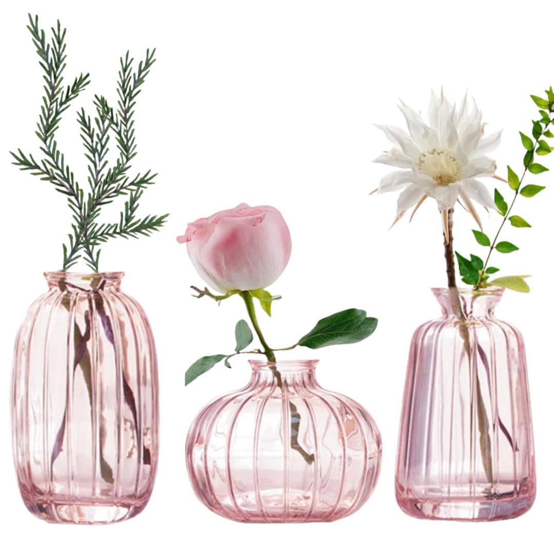 MEETOZ Glass Bud Vase Set of 3- Small Vases for Flowers, Home Table Flower Decor, for Office or Wedding Events