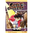 Case Closed, Vol. 28: The Mermaid Vanishes