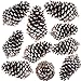 Supla 10 PCS Natural Pinecones Medium Frosted Pine Cones Ornaments Real Preserved Pine Cones - Dried -3