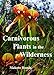 Carnivorous Plants in the Wilderness by Makoto Honda