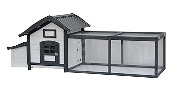 Lifland Poulailler Alice Avec Toit Pvc 2 Ou 3 Poules 100 Sapin