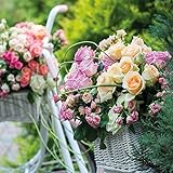 Image de Flowers (171045)