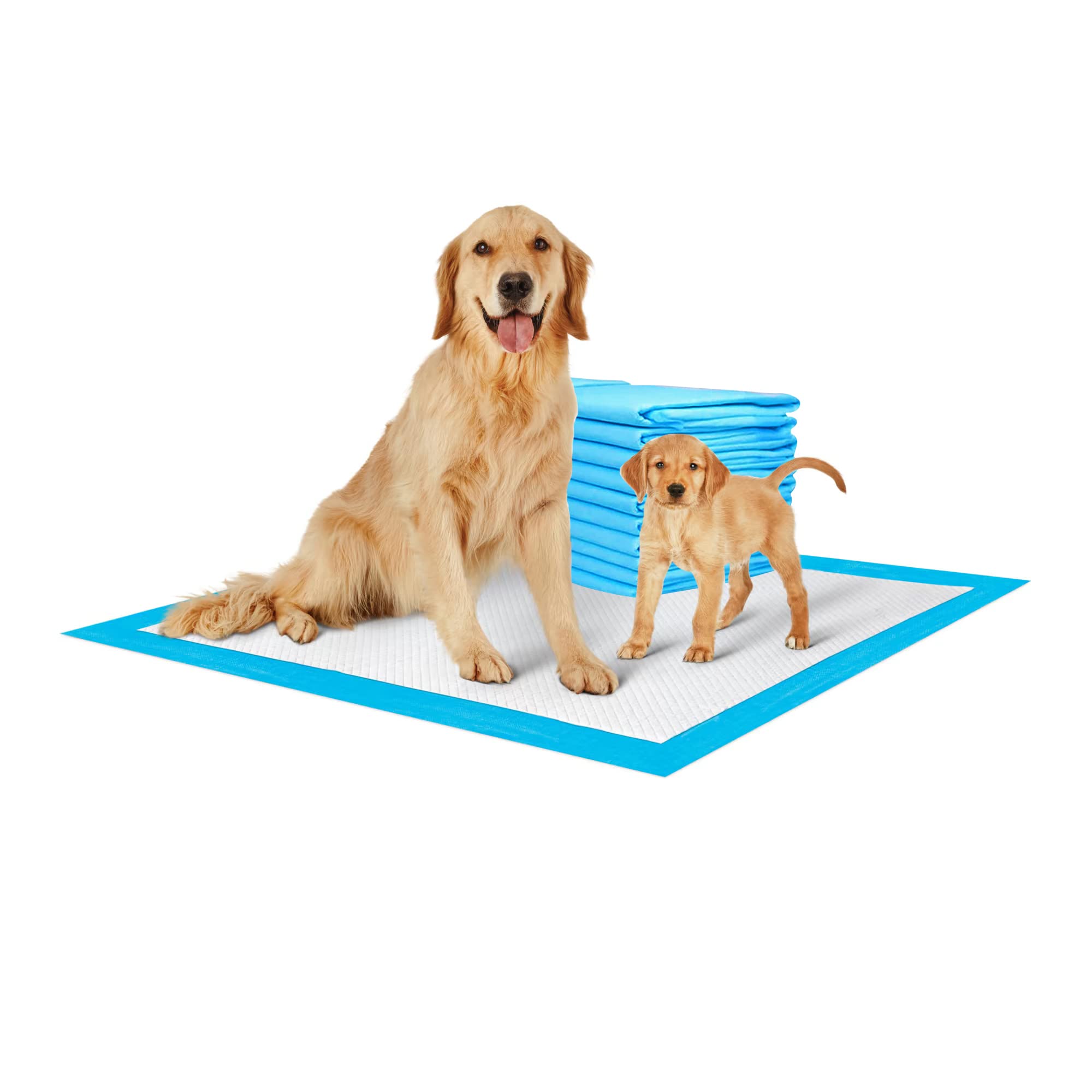 ShopHut Puppy Training Pads, Training Pads Mats for Younger Pets, Dog and Cat Pee Diaper with Heavy Duty Absorbency (50 Pack) (56x56cm (50 Pads))