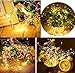 RaThun 33ft 100 LEDs String Lights Flexible Copper Wire Lights Waterproof Design Decor Rope Lights for Festival, Christmas, Wedding, Holiday and Party with Wireless Remote Control, Warm White