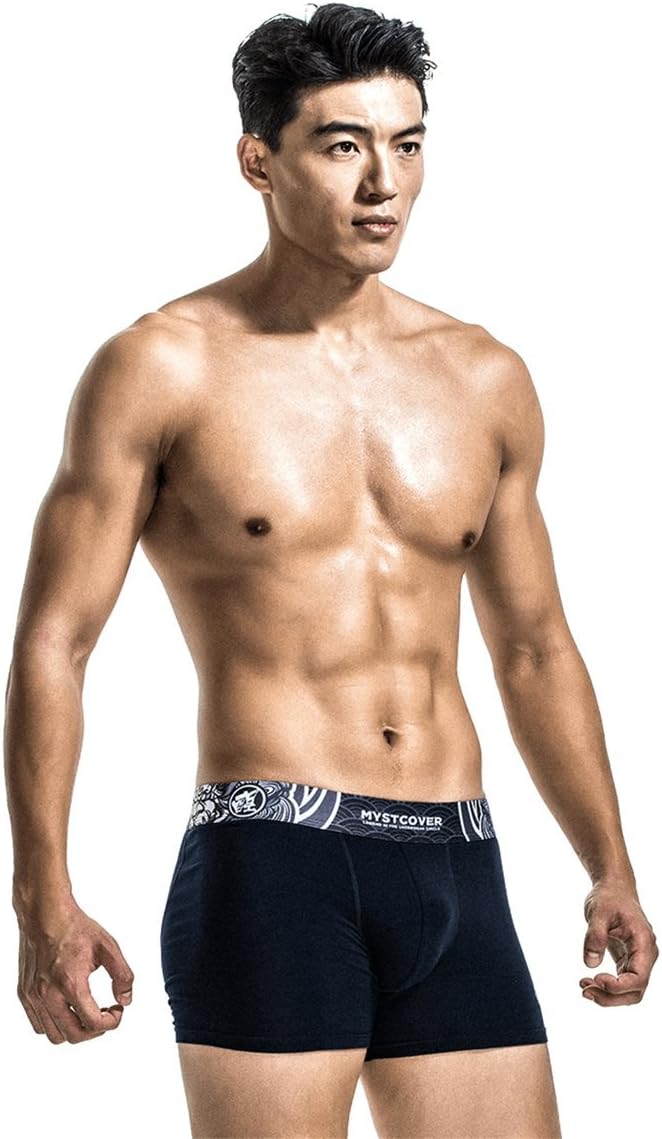 Men's Boxer Brief - Chinese traditional design, Asian aesthetic design language, Sexy personality Waistband Men's Underwear.