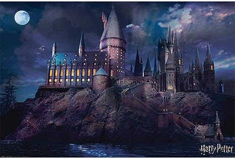 Amazon Co Jp Harry Potter ハリーポッター 映画公開周年 Hogwarts ポスター 公式 オフィシャル ホーム キッチン
