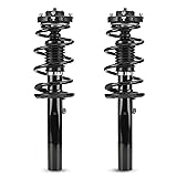 172311 Front Complete Struts w/Coil Springs for