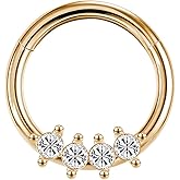 LunaLoop Hoop Nose Rings for Women Septum Nose Rings Gold Silver 16g Nose Piercings Jewelry 316L Surgical Steel Conch Rook Helix Piercing Jewelry CZ Cartilage Hoop Earring