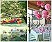 S-Shine Set of 3 Tissue Pom Poms Party Decorations for Weddings, Birthday Parties Baby Showers and Nursery Décor (16-inch Diameter, Misterious Black)