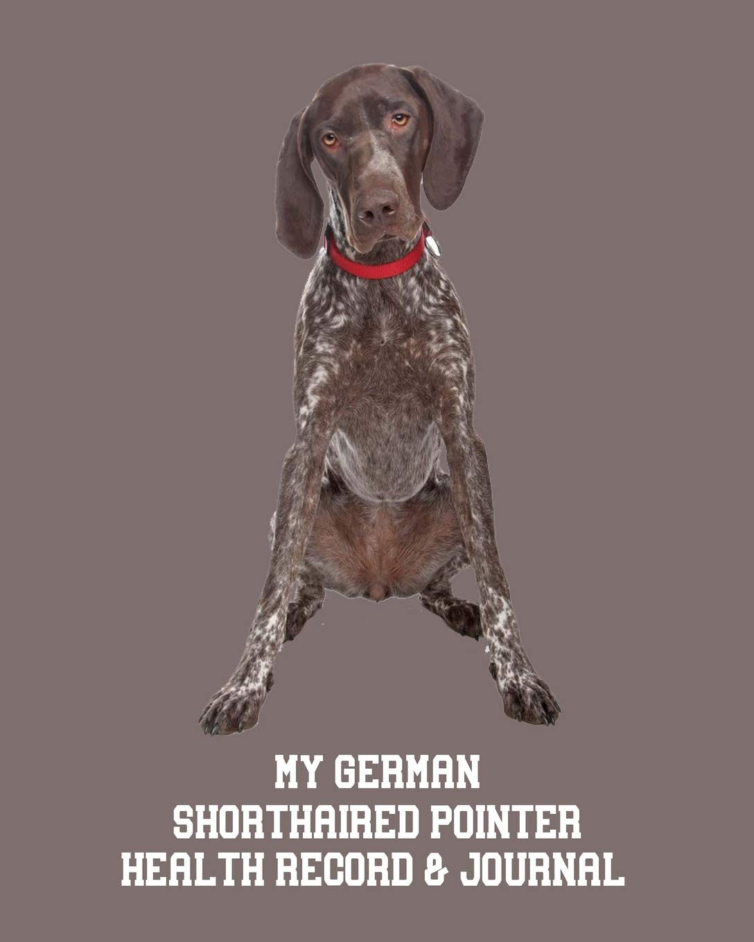 German Shorthaired Pointer History