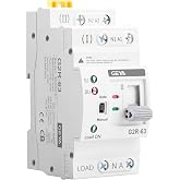 GEYA 2P 63A AC110V Automatic Transfer Switch,ATS Dual Power Auto Transfer Switch,Uninterruptible Millisecond-Level ATS,DIN Rail Mounting（G2R 2P 63A AC110V）
