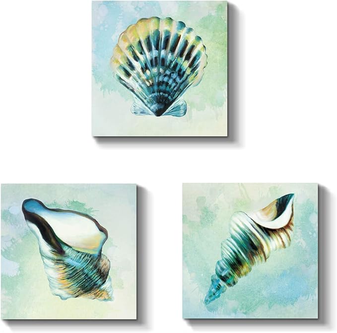 Seashell Picture Canvas Wall Art Sea Shell Painting Artwork Print on