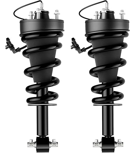 Amazon.com: GM Genuine Parts 85640963 Shock Absorber : Automotive