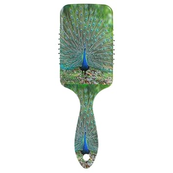 Amazon Com Peacock Dream Meaning Hair Brush Massage Scalp