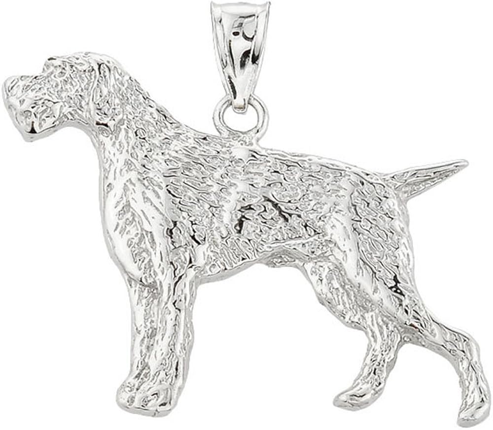 silver german shorthaired pointer