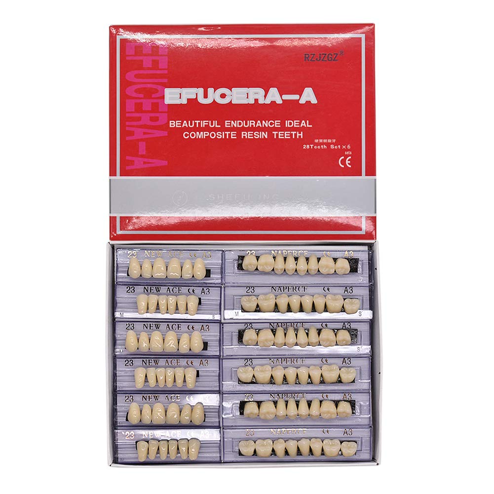 RZJZGZ 168 Pcs Dental Synthetic Resin Tooth Denture 6 Sets False Teeth for Halloween Horror Teeth 23 A3 : Beauty