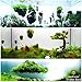 SunGrow Magical Hallelujah Floating Garden Recreate Pandora, The Underwater World of Avatar in Aquarium in Minutes (Plants Sold Separately)