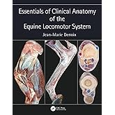 Essentials of Clinical Anatomy of the Equine Locomotor System