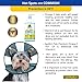 Apollos Pets Omega 3 Fish Oil for Dogs - Omega 3 for Dogs Plus Vitamin E - More EPA and DHA Than Salmon Oil - Treats Shedding, Itchy Skin, Allergies, and Joints - Made in USA 16 Ounce Liquid Pump