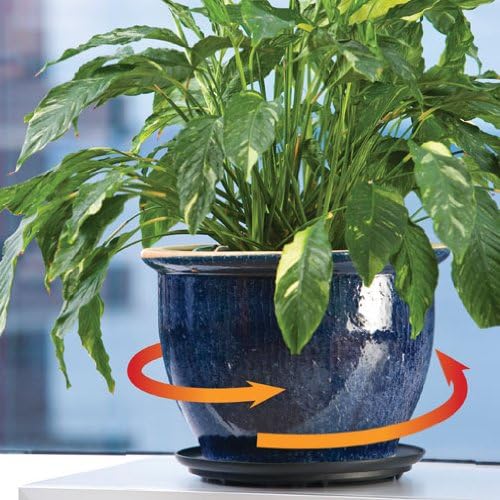 Down Under Plant Turner, Rotating Plant Saucer, 12 Inch Diameter